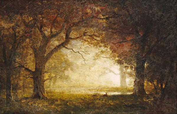 Forest Sunrise