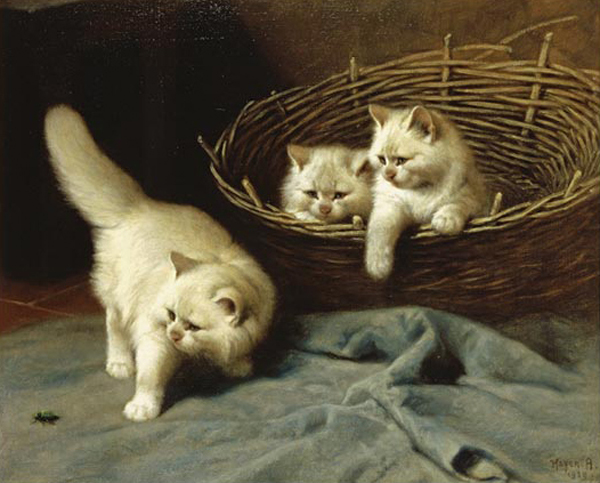 White Angora Kittens with a Beetle