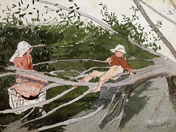 Out On a Limb