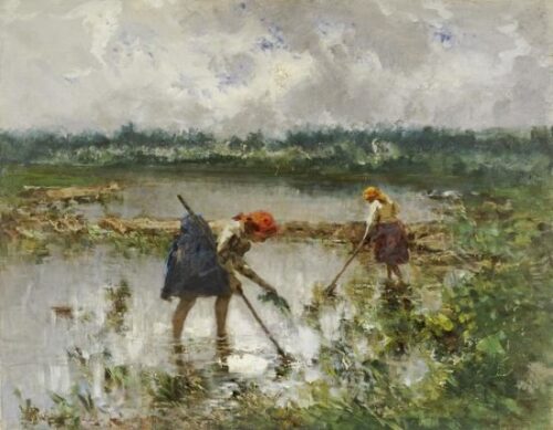 Women At Work in a Rice Field