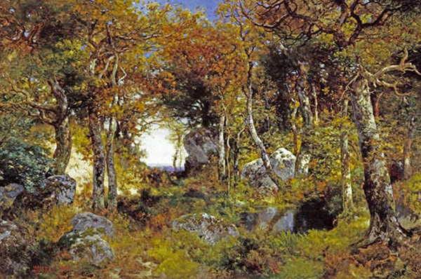 The Woodland Pool