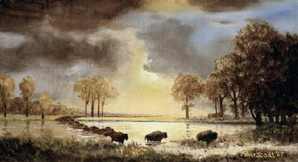The Buffalo Trail