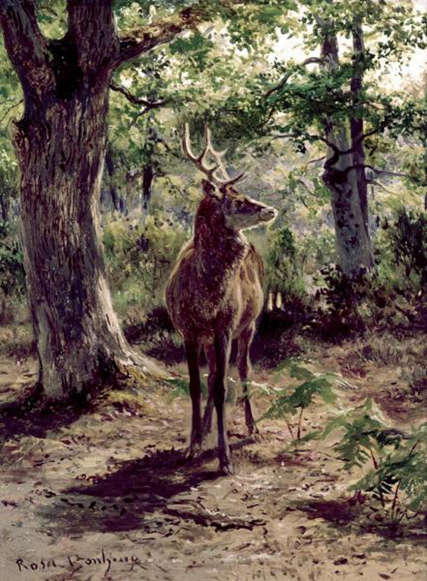 Stag on Alert, in Wooded Clearing