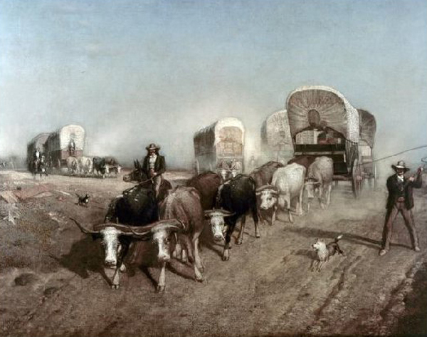 Ships of the Plains