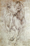 Horse & Rider