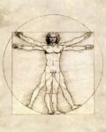 Proportions of the Human Figue - aka The Vitruvian Man