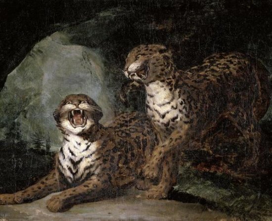 Two Leopards