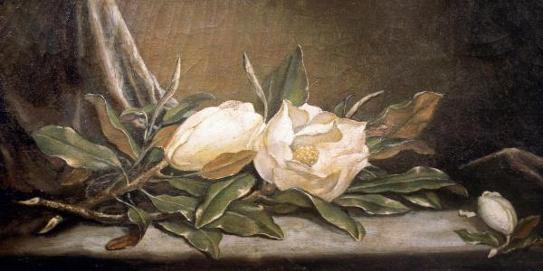 White Magnolias on a Blue Cloth