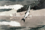 Flying Fish on Lake John