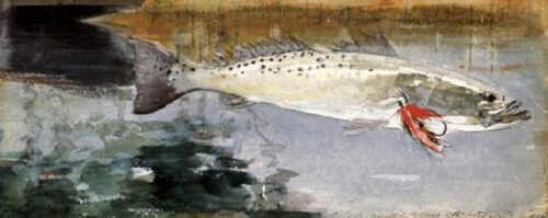 Mrs. R.H. Watts' Trout