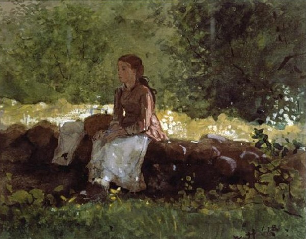 On the Fence