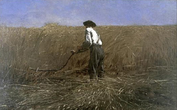 The Veteran in a New Field