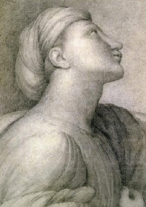 Profile of a Face in the Style of Raphael