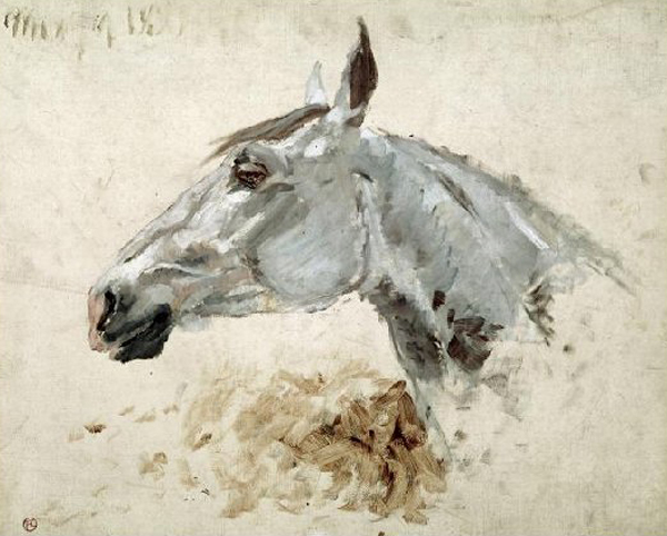 Testo di Cavallo