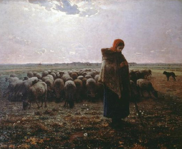 Pasture