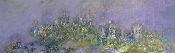 Glycines (Wisteria)