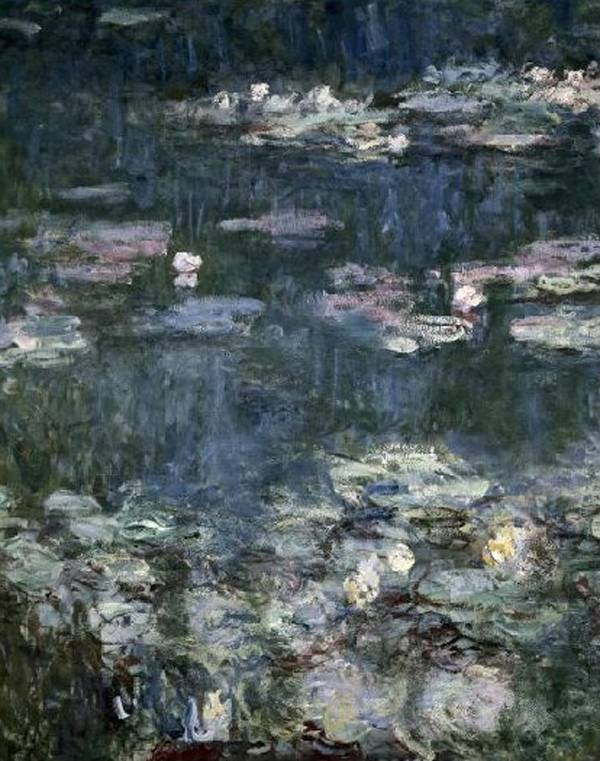 Nympheas-Water Lilies - detail
