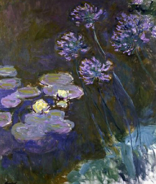 Water Lilies & Agapanthus