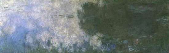 Water Lilies (Nymphaeas) X