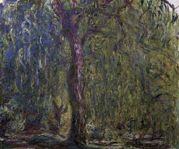 Weeping Willow (Saule Pleureur)