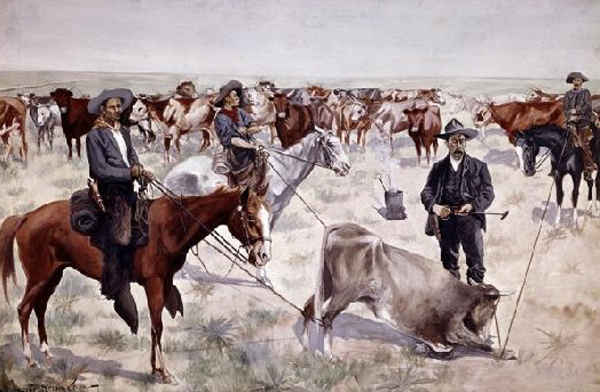 Branding a Steer