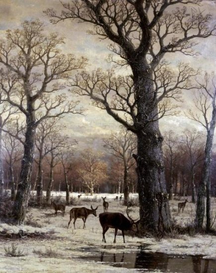 Deer Foraging in Winter