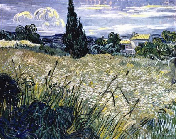 Landscape with Green Corn