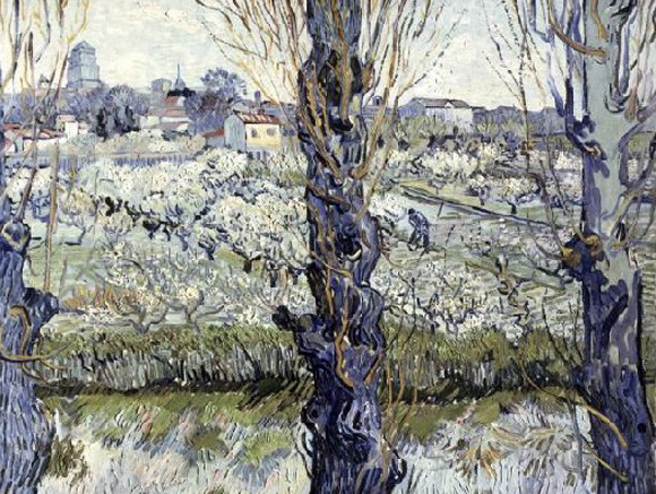 View of Arles