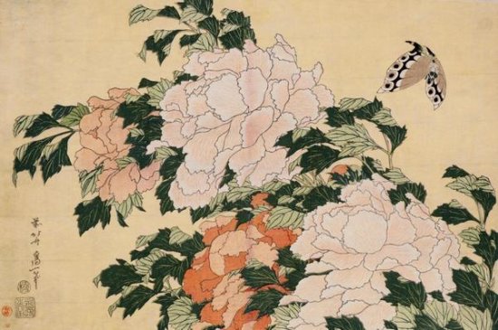Pink and Red Peonies