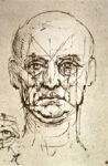 Proportions of the Face