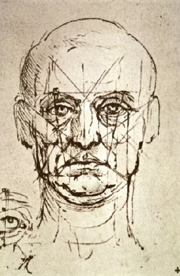 Proportions of the Face