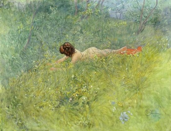 On the Grass