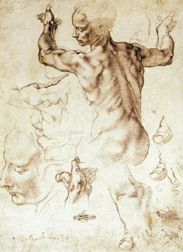 Anatomy Sketches (Libyan Sibyl)