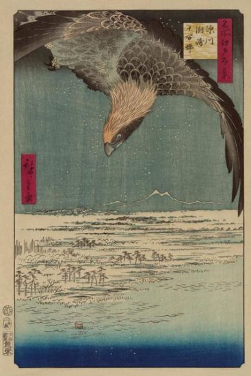 Hawk Flying Above a Snowy Landscape Along the Coastline 1857