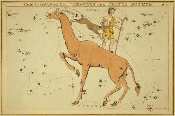 Camelopardalis, Tarandus and Custos Messium, 1825