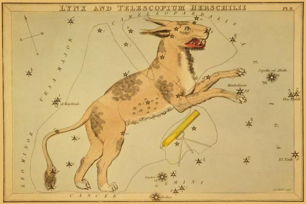 Lynx and Telescopium Herschilii, 1825