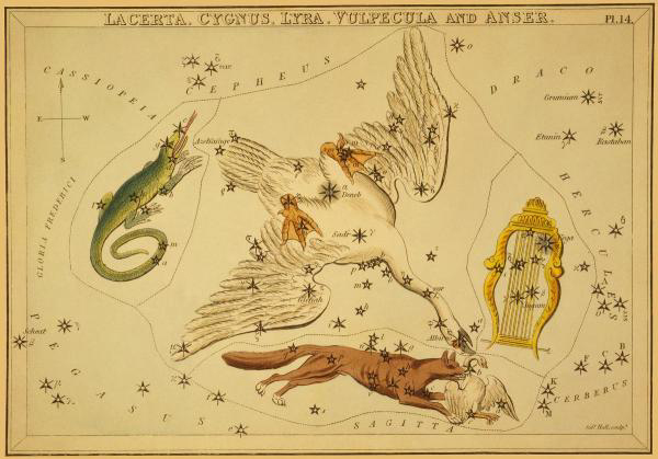 Lacerta, Cygnus, Lyra, Vulpecula and Anser, 1825