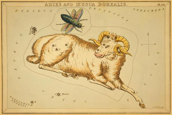 Aries and Musca Borealis, 1825