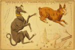 Canis Major, Lepus, Columba Noachi & Cela Sculptoris, 1825
