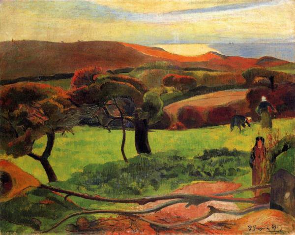 Fields By the Sea
