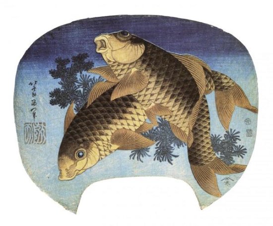 Two Carp 1831