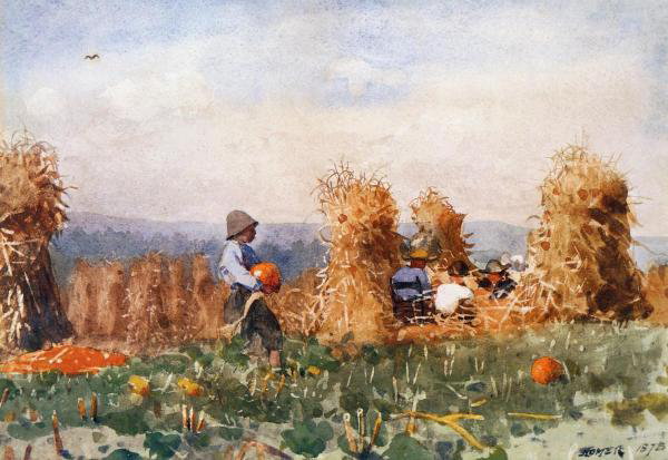 Pumpkin Patch
