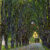 Avenue In Schloss Kammer Park, 1913