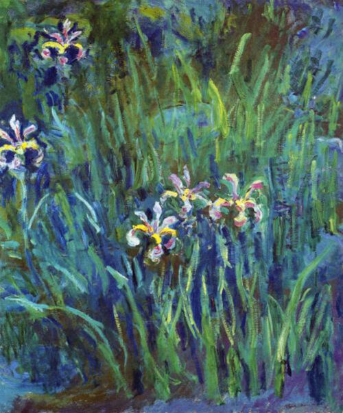 Irises 1914-1917
