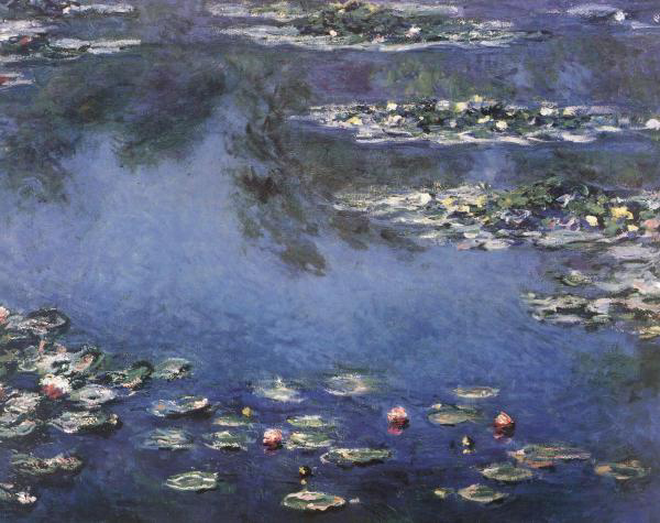 Waterlilies