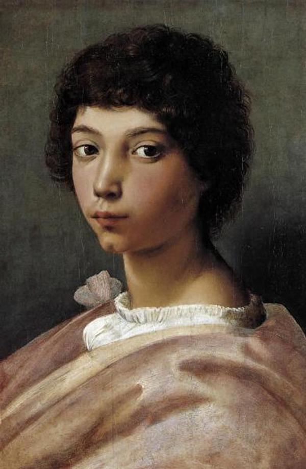 Portrait of a Young Man