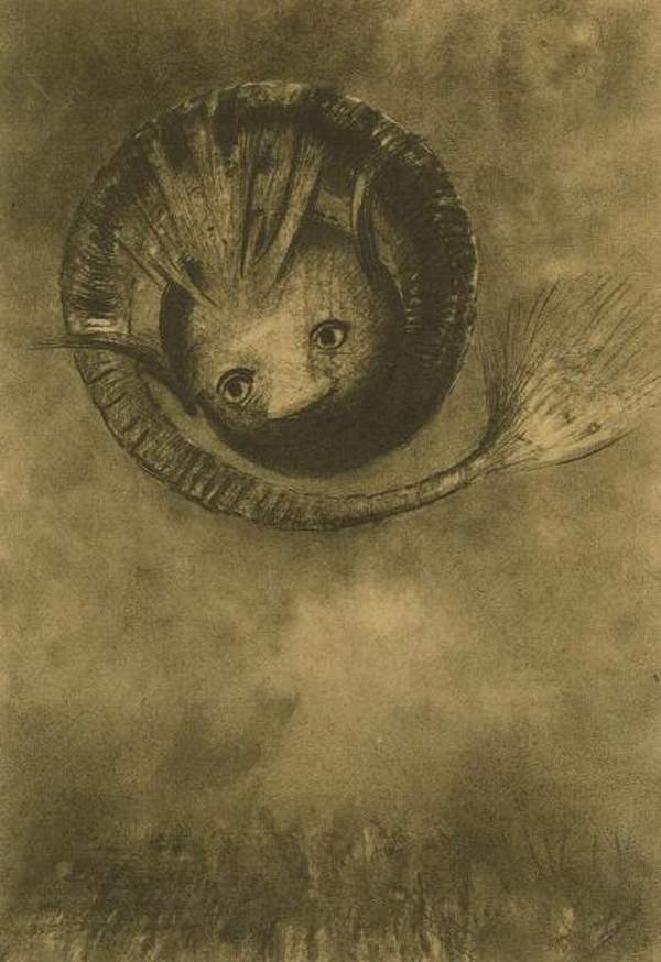 Tadpole