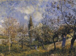 Orchard In the Spring