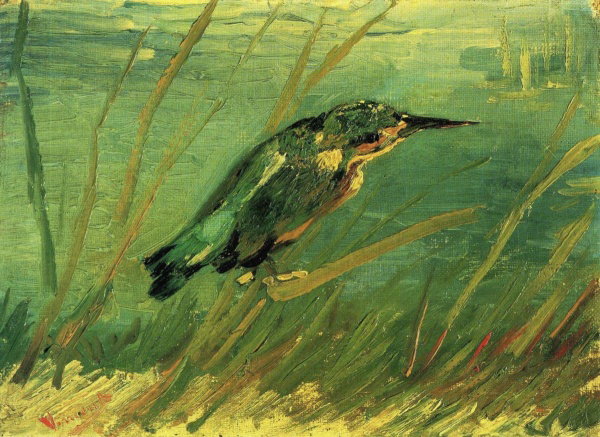 Kingfisher
