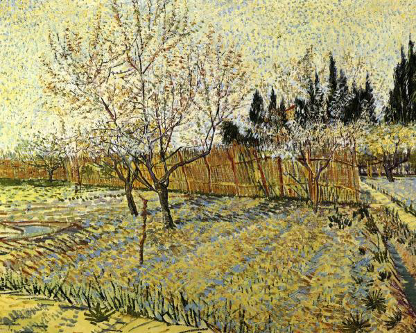 Orchard, Springtime